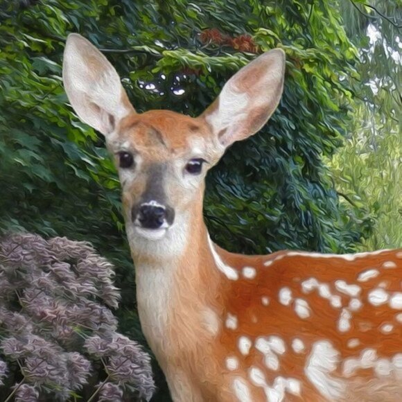 8x10 Baby Fawn Deer‎ Photography Oil Painting Print - Picture 3 of 5